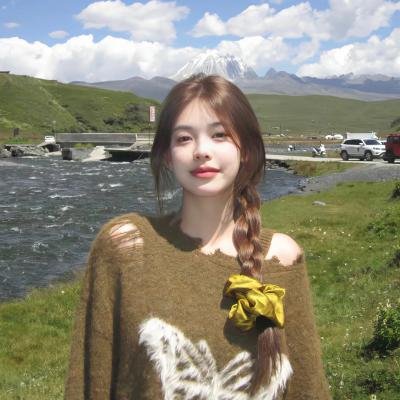 日本以外全部沉没